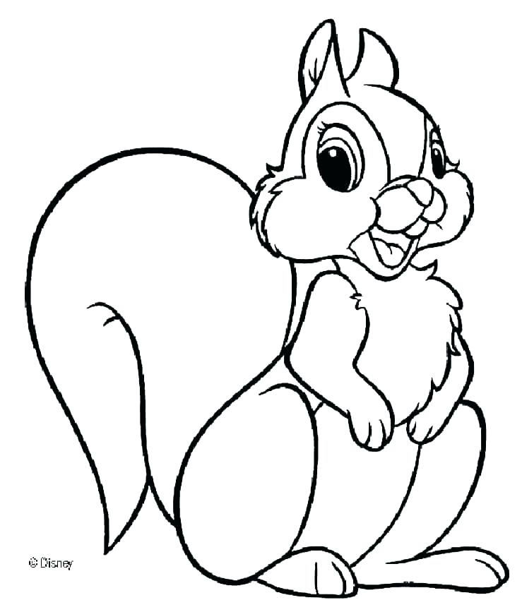 Coloring Pages Of Squirrels Squirrel Color Page Coloring Pages 739x850 Coloring Pages Of Squirrels Squirrel Color Page Coloring Pages