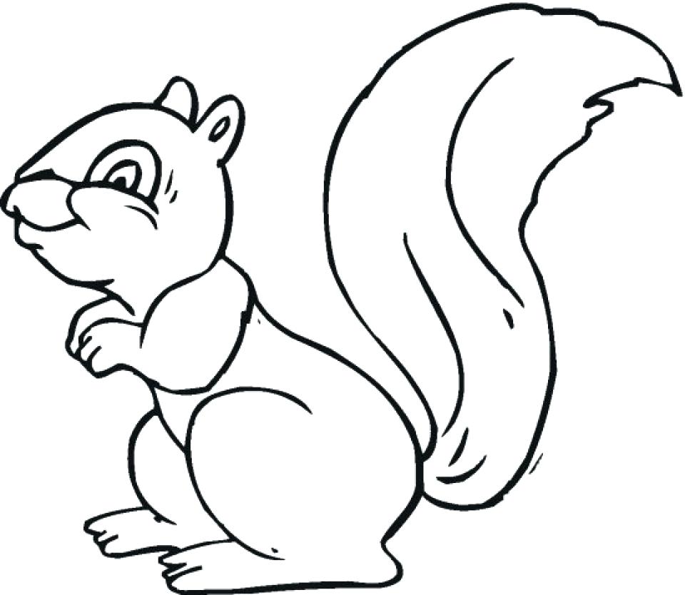 Coloring Pages ~ Squirrel Coloring Page Easy Pages 960x834 Coloring Pages ~ Squirrel Coloring Page Easy Pages