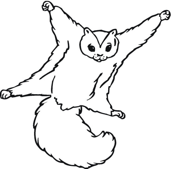 Squirrel Free Printable Squirrel Coloring Pages 550x540 Squirrel Free Printable Squirrel Coloring Pages