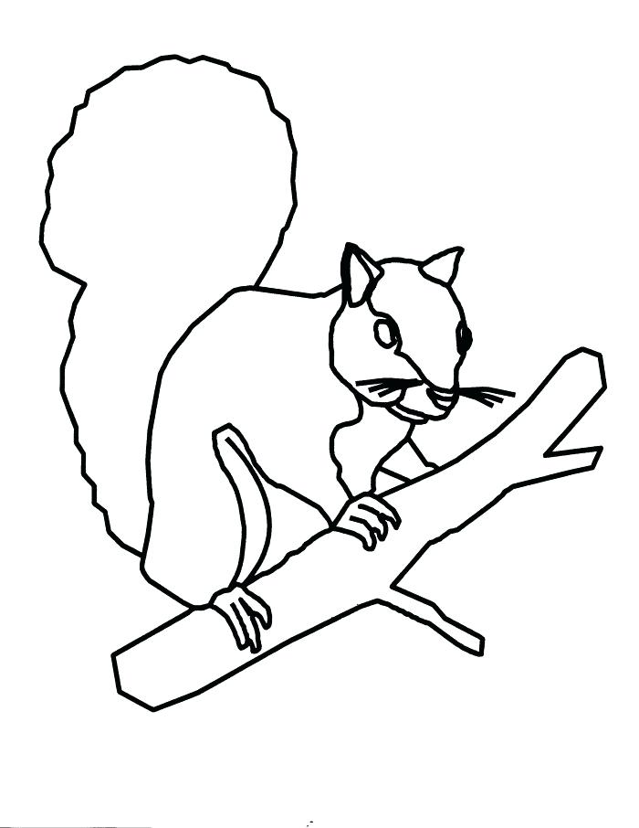 Coloring Pages Of Squirrels This Is A Beautiful Squirrel Coloring 700x906 Coloring Pages Of Squirrels This Is A Beautiful Squirrel Coloring