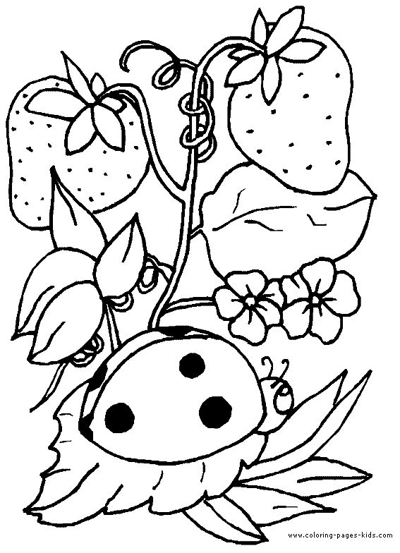 567x784 42 Best Strawberry Coloring Pages Images