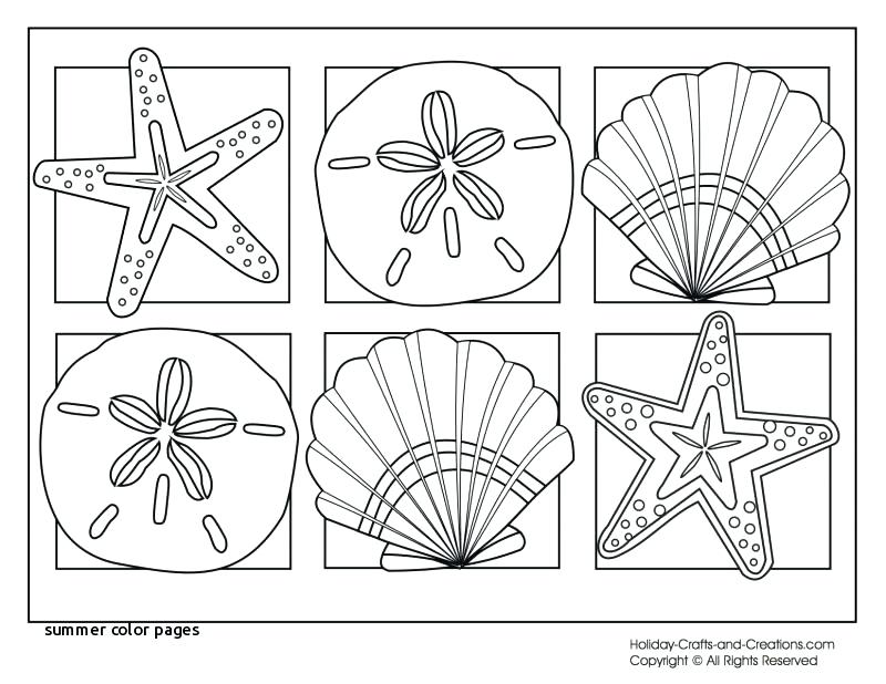 Printable Beach Coloring Pages Summer Coloring Pages Printable 800x618 Printable Beach Coloring Pages Summer Coloring Pages Printable