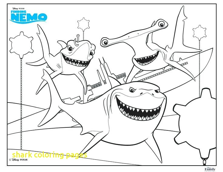 Shark Coloring Pages With Coloring Shark Fun Free Printable Summer 735x567 Shark Coloring Pages With Coloring Shark Fun Free Printable Summer