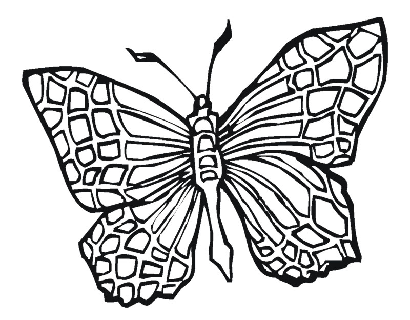 Tattoo Coloring Pages 306206 800x624 Tattoo Coloring Pages 306206