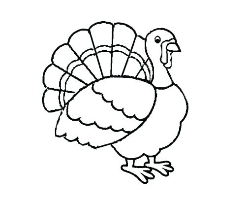 500x416 Thanksgiving Turkey Coloring Pictures Color In Turkey Preschool