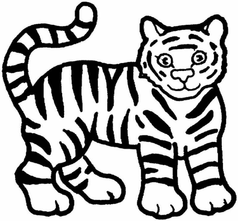 Tiger Coloring Pages New Free Printable Animal Tiger Coloring 770x716 Tiger Coloring Pages New Free Printable Animal Tiger Coloring
