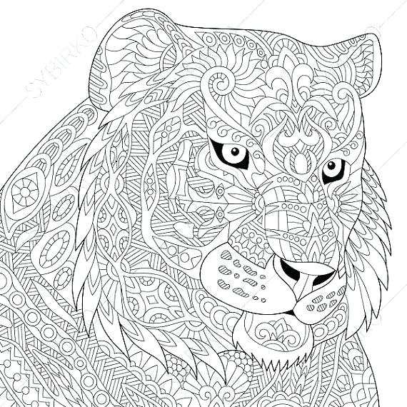 Tiger Coloring Pages 570x570 Tiger Coloring Pages