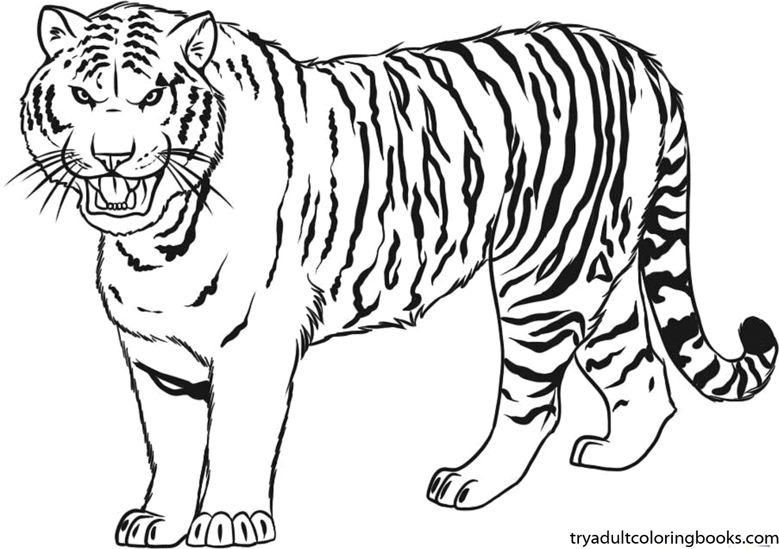 Bengal Tiger Coloring Page Free Printable Fantastic Tigers Pages 1600x1127 Bengal Tiger Coloring Page Free Printable Fantastic Tigers Pages