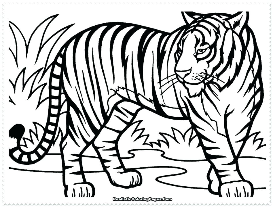 Coloring Pages Tiger Baby Tiger Coloring Pages Tiger Jumps 948x720 Coloring Pages Tiger Baby Tiger Coloring Pages Tiger Jumps