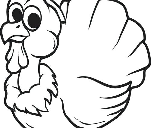 501x425 Excellent Decoration Turkey Coloring Pages Printable Detailed