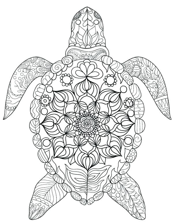 Free Turtle Coloring Pages Free Coloring Pages Free Ninja Turtle 600x776 Free Turtle Coloring Pages Free Coloring Pages Free Ninja Turtle