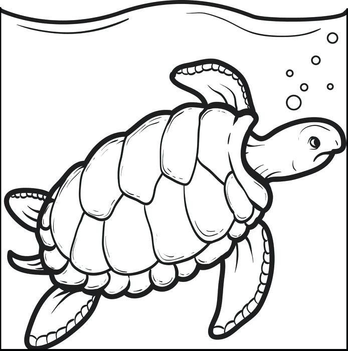 Printable Turtle Coloring Pages Swimming Turtle Coloring Page Free 694x700 Printable Turtle Coloring Pages Swimming Turtle Coloring Page Free