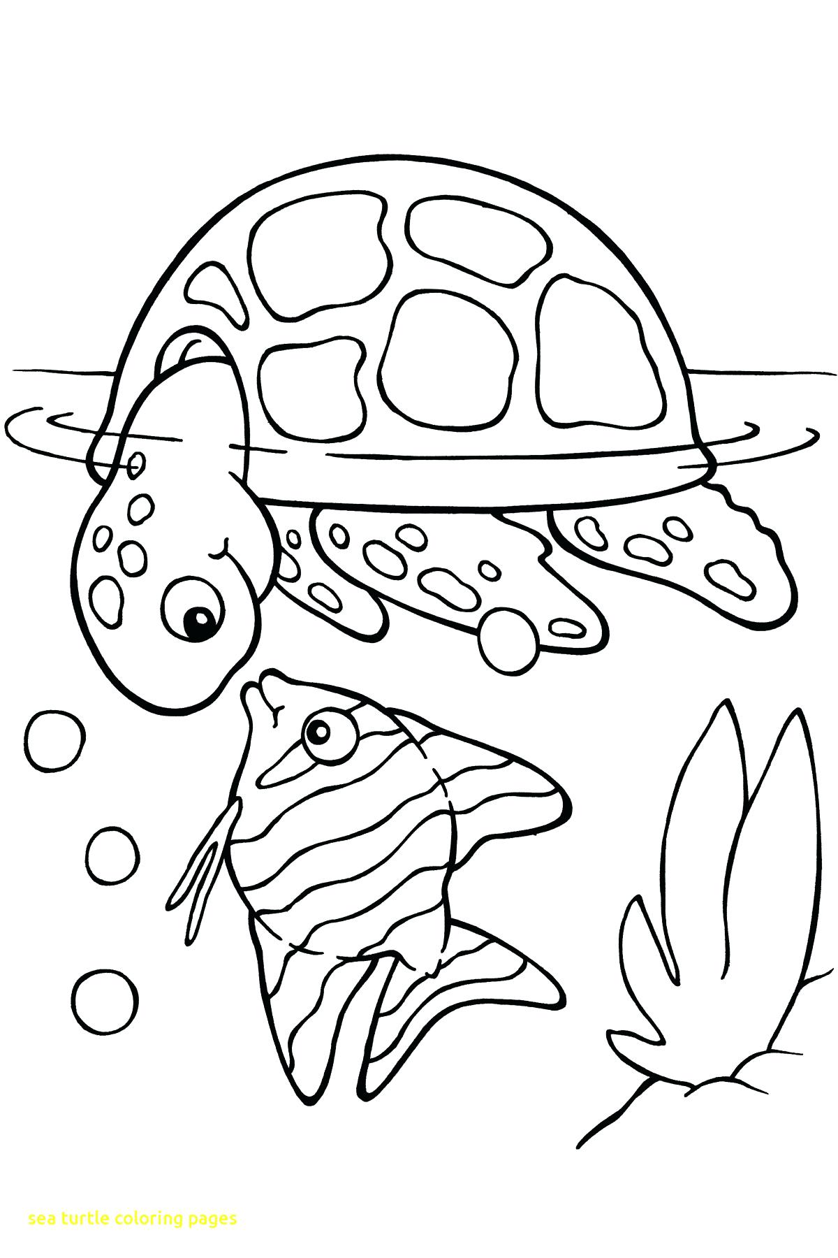 Smartness Inspiration Printable Turtle Coloring Pages Free 1200x1800 Smartness Inspiration Printable Turtle Coloring Pages Free