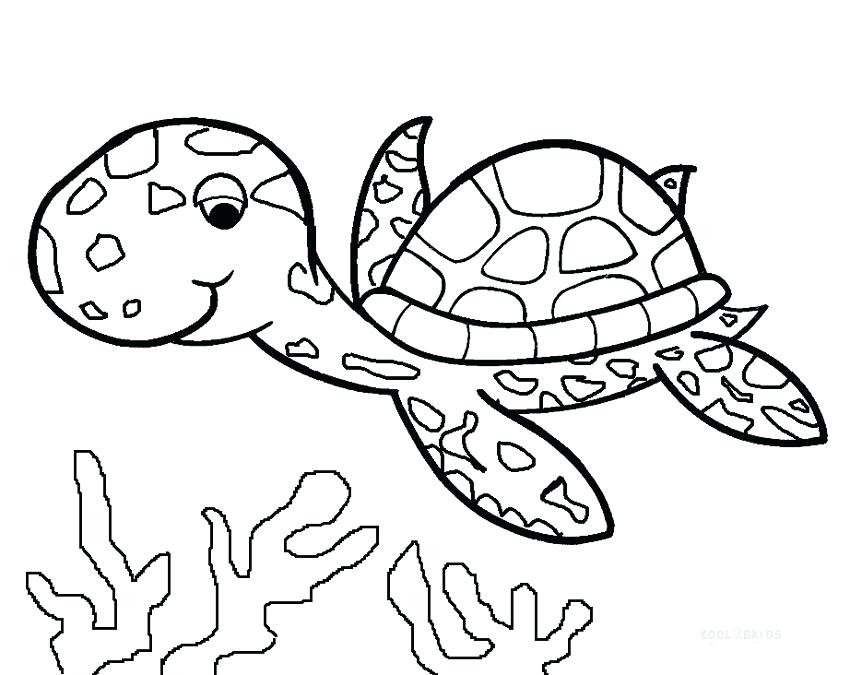 Turtle Color Pages Sea Turtle Coloring Pages Printable A Ninja 850x675 Turtle Color Pages Sea Turtle Coloring Pages Printable A Ninja