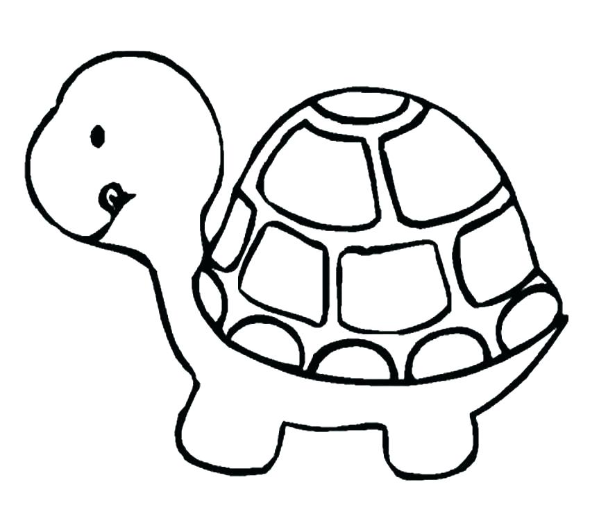 Wanted Sea Turtle Pictures To Color Turtles Coloring Pages 863x731 Wanted Sea Turtle Pictures To Color Turtles Coloring Pages