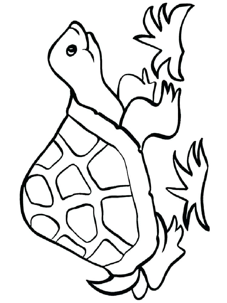 Free Printable Turtle Coloring Pages For Kids Turtle Coloring 750x1000 Free Printable Turtle Coloring Pages For Kids Turtle Coloring