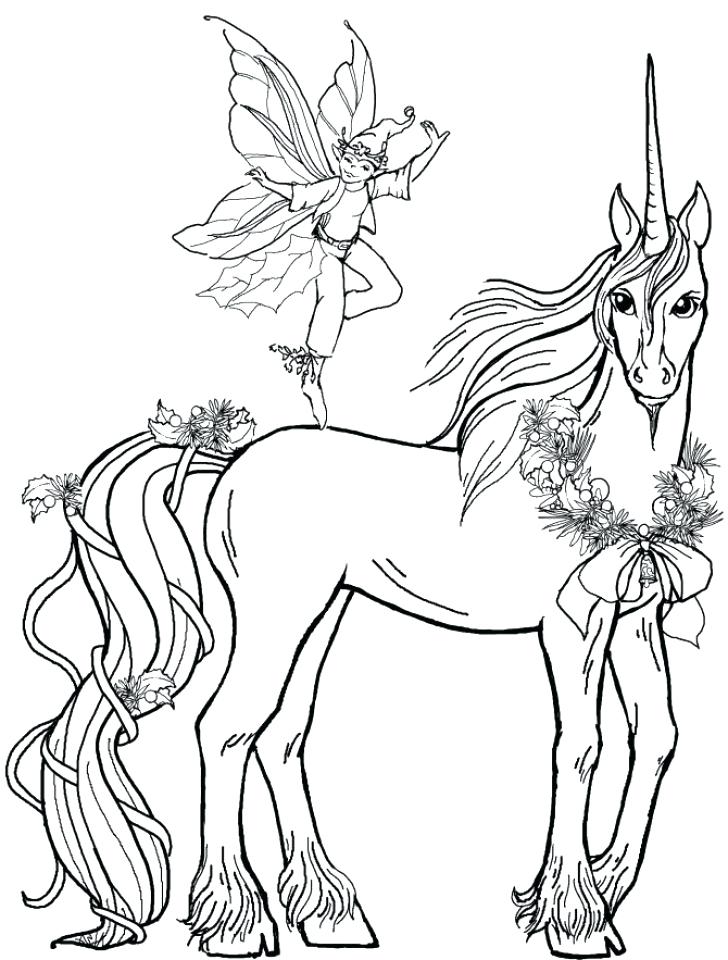 Unicorn Coloring Page Free Printable Unicorn Coloring Pages 728x960 Unicorn Coloring Page Free Printable Unicorn Coloring Pages