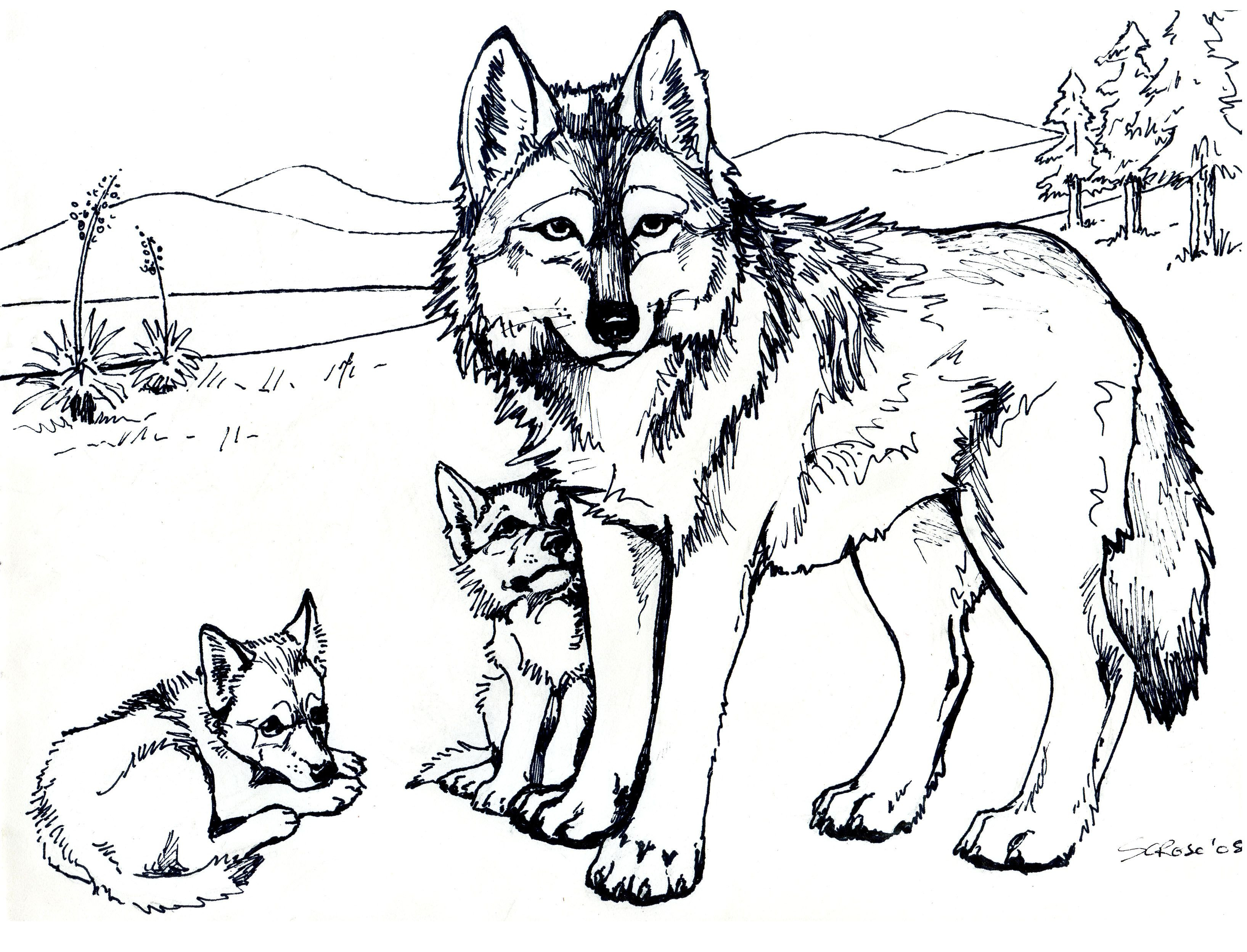 3270x2496 Printable Free Wolf Coloring Pages For Adults Desenhos Para Piro