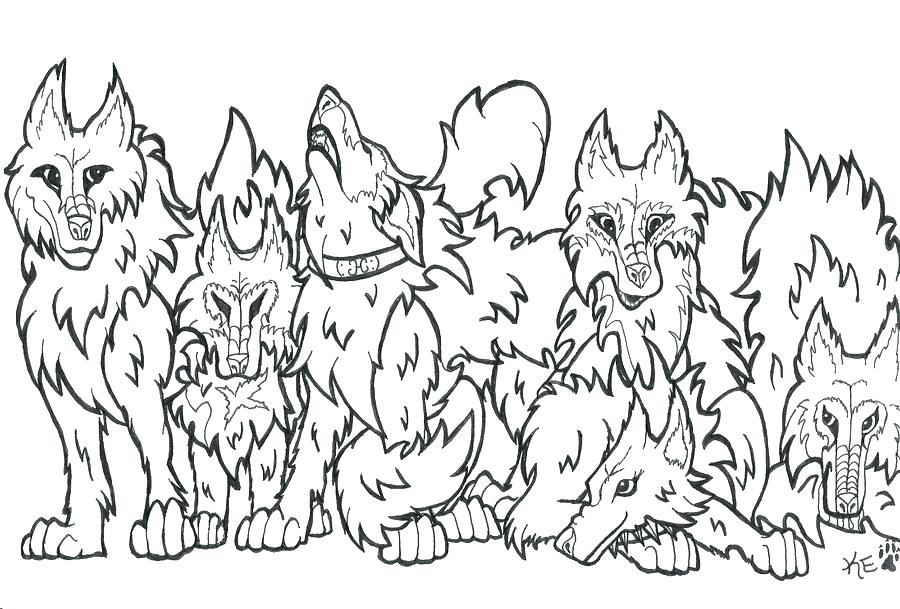 900x609 Coloring Wolf Cute Anime Coloring Pages Images Wolf Coloring Pages