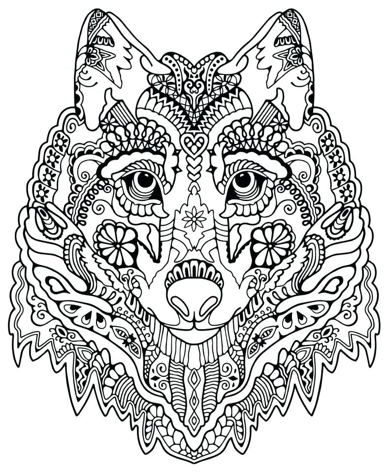 Tree Coloring Pages Adults Zentangle Coloring Pages Cupcake 788x960 Tree Coloring Pages Adults Zentangle Coloring Pages Cupcake