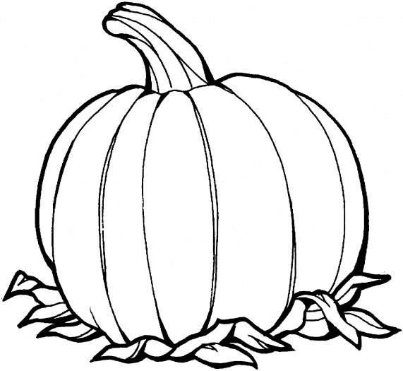 Free Pumpkin Coloring Pages Printable 571x525 Free Pumpkin Coloring Pages Printable