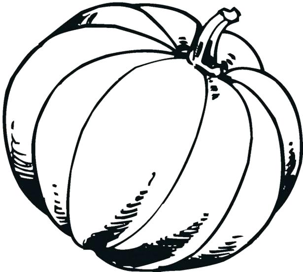 Free Pumpkin Coloring Pages Pumpkin Coloring Pages Free Pumpkin 615x554 Free Pumpkin Coloring Pages Pumpkin Coloring Pages Free Pumpkin