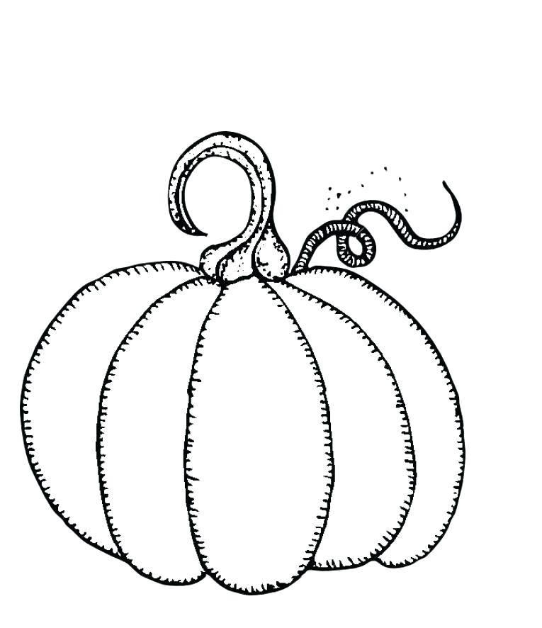 Pumpkin Color Pages Printable Pumpkin Coloring Pages For Kids Free 765x886 Pumpkin Color Pages Printable Pumpkin Coloring Pages For Kids Free