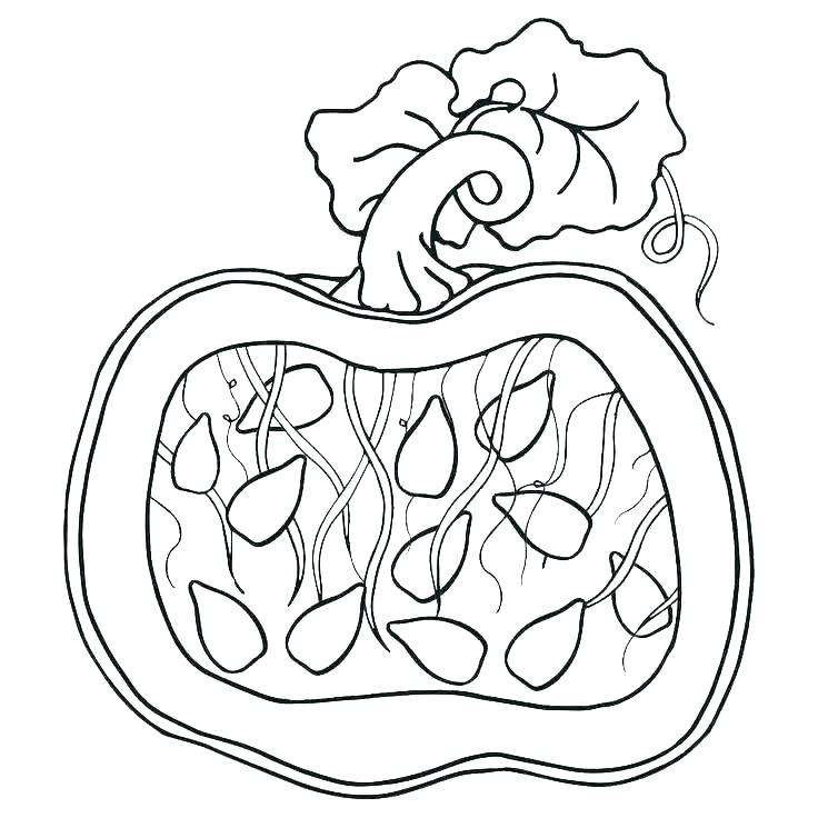 Happy Pumpkins Coloring Pages 736x736 Happy Pumpkins Coloring Pages