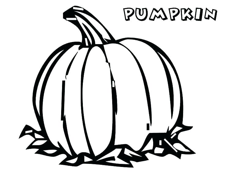 Coloring Pages Of Pumpkins Coloring Pages Coloring Pages Pumpkin 736x568 Coloring Pages Of Pumpkins Coloring Pages Coloring Pages Pumpkin