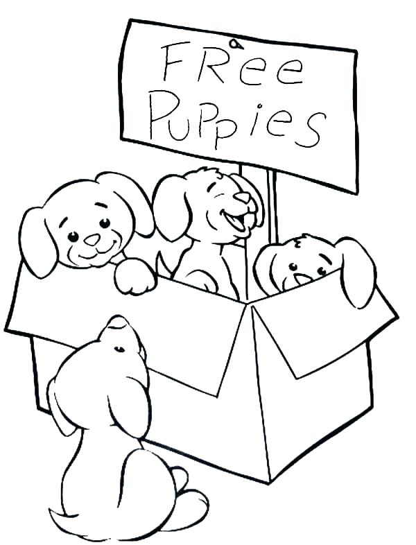 600x786 Cute Puppy Coloring Pages For Free Colori Of Puppies Page Cutest