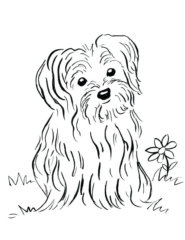 613x794 Puppies Coloring Page Free Printable Puppy Coloring Pages Free