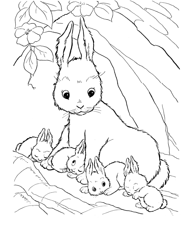 Free Rabbit Coloring Pages