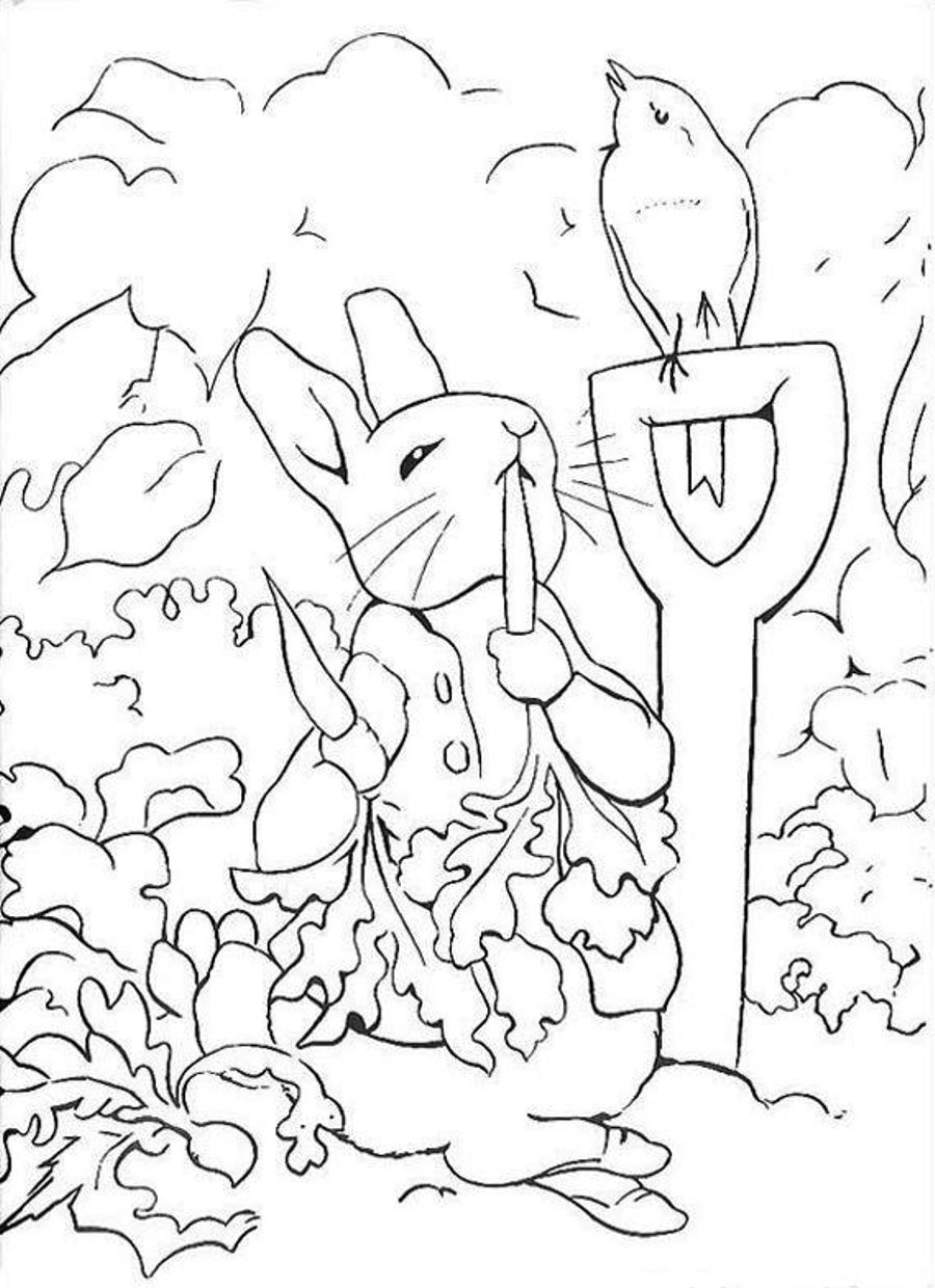 900x1240 Free Printable Peter Rabbit Coloring Pages