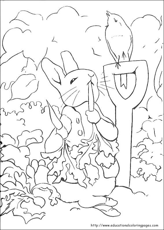 567x794 Free Printable Peter Rabbit Coloring Pages Peter Rabbit Coloring