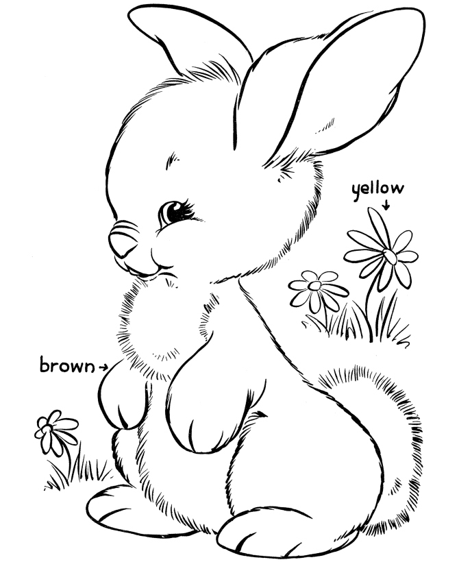 670x820 Bunny Coloring Page Inspirational Free Printable Rabbit Coloring