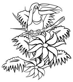 Free Rainforest Coloring Pages Rainforest Coloring Sheets, Free 249x280 Free Rainforest Coloring Pages Rainforest Coloring Sheets, Free