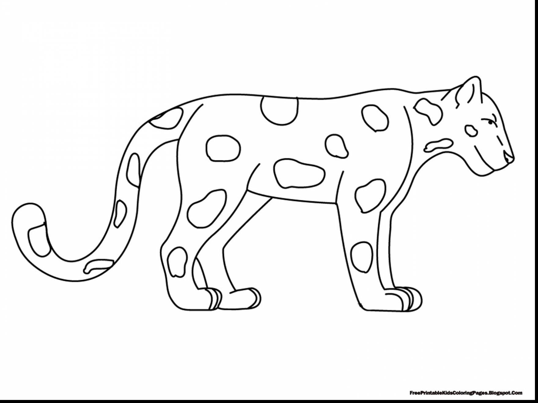 Rainforest Animals Coloring Pages Resume 1760x1320 Rainforest Animals Coloring Pages Resume