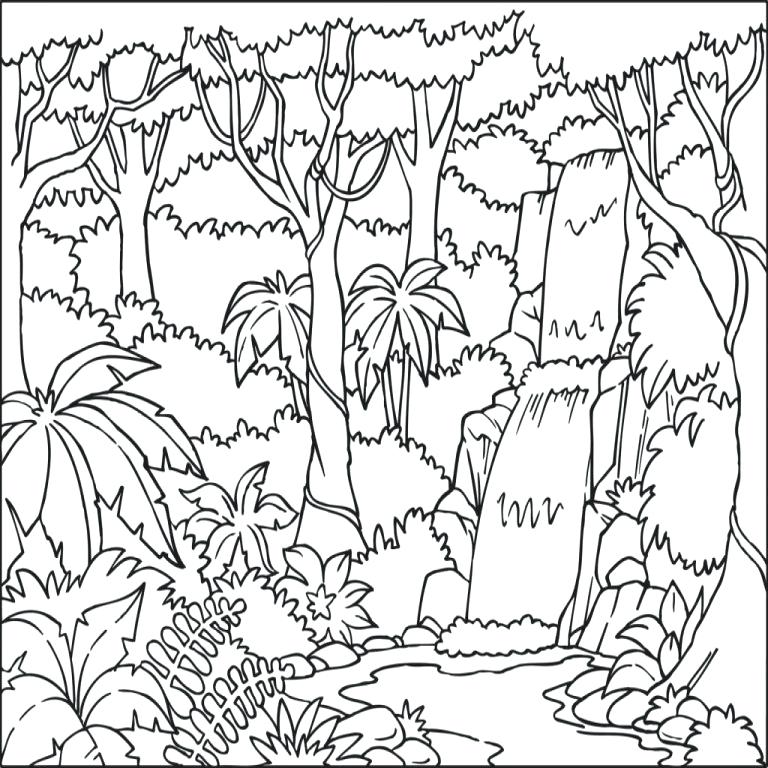 Rainforest Coloring Pages Tropical Coloring Pages Color Jungle 768x768 Rainforest Coloring Pages Tropical Coloring Pages Color Jungle