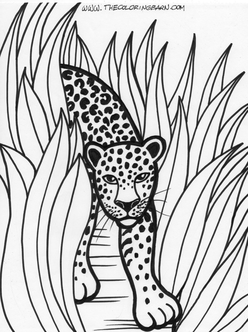 Rainforest Printable Coloring Pages The Coloring Barn Printable 1000x1337 Rainforest Printable Coloring Pages The Coloring Barn Printable