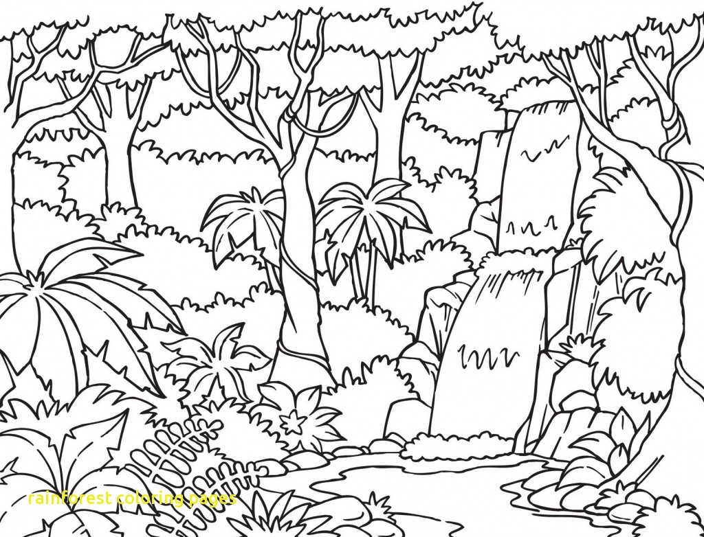Scarce Rainforest Coloring Pages To Print Special Free Printable 1024x782 Scarce Rainforest Coloring Pages To Print Special Free Printable