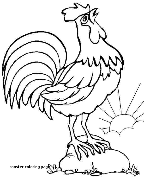 600x744 Rooster Coloring Page