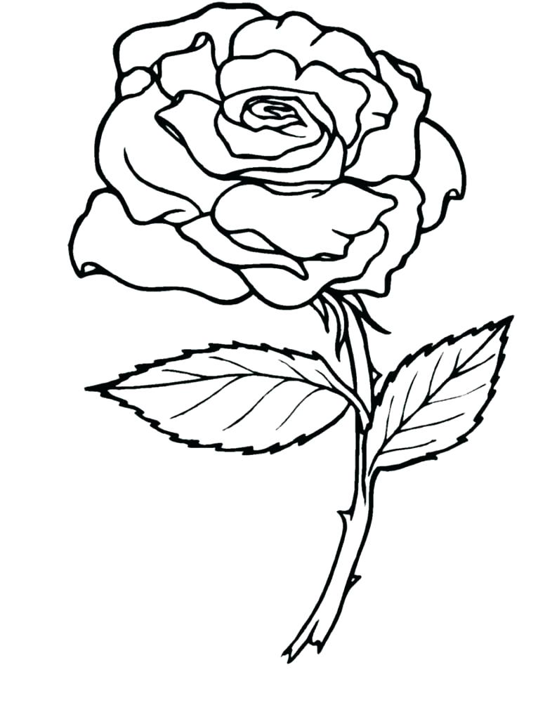 766x1021 Free Printable Rose Coloring Pages Free Printable Rose Coloring