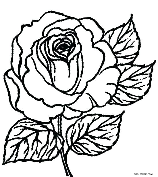 550x614 Rose Coloring Pictures Rose Coloring Pages Collection Of Solutions
