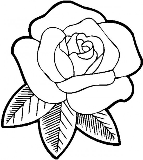 550x614 Best Beautiful Rose Coloring Pages Free 2939 Printable