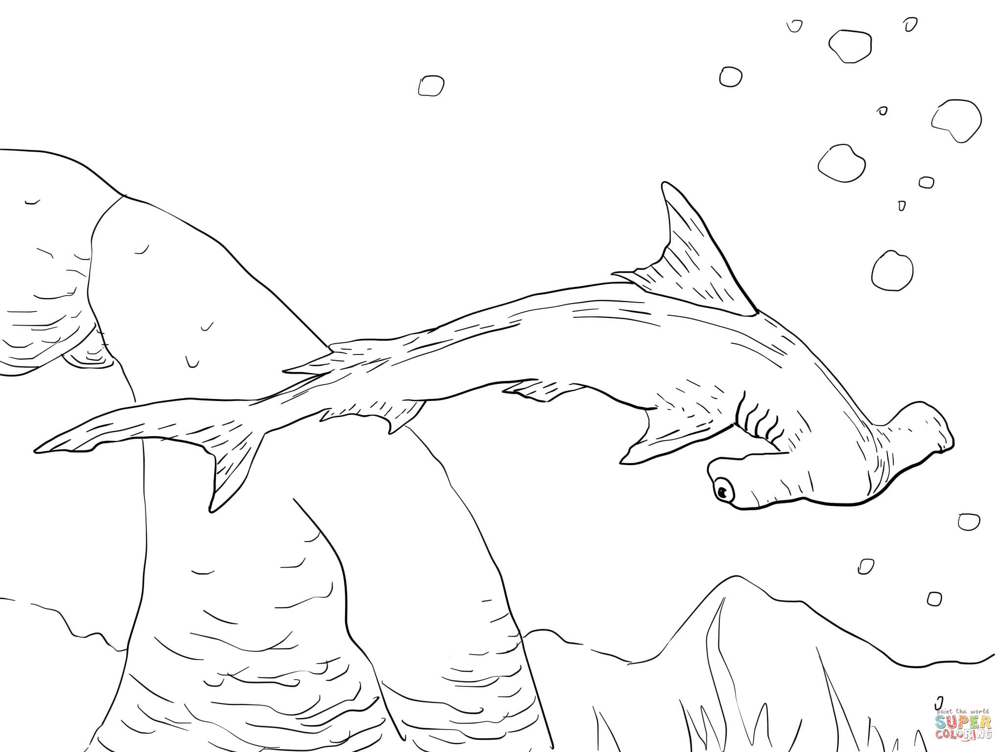 2048x1536 Hammerhead Shark Coloring Page