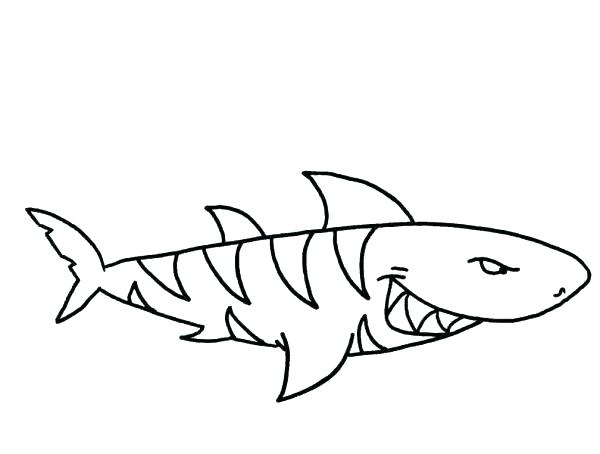 600x454 Printable Shark Coloring Pages Tiger Coloring Pages To Print Tiger