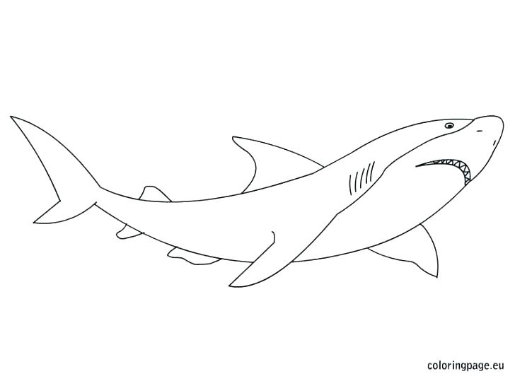 728x539 Shark Color Page Shark Color Page Free Shark Coloring Pages Great