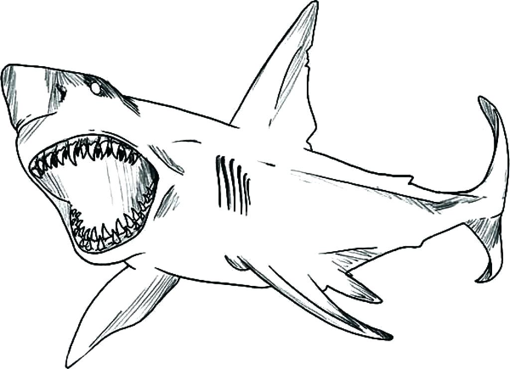 1024x742 Shark Coloring Pages Printable Pages Shark Tale Printable Coloring