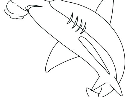 440x330 Shark Coloring Picture Free Shark Coloring Pages Great Hammerhead
