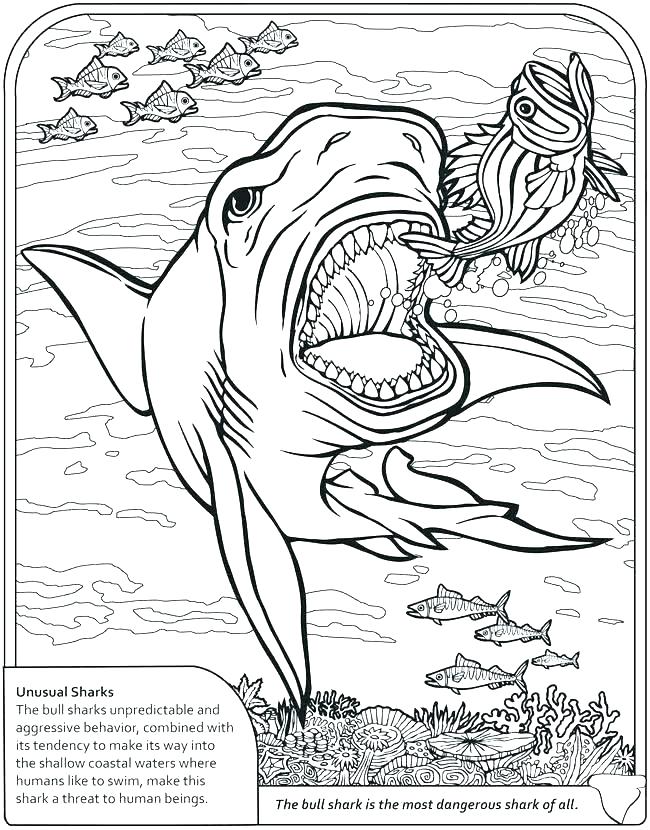650x830 Sharks Coloring Pages Coloring Pages Shark Free Shark Coloring
